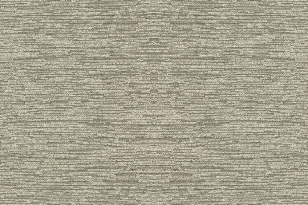 H1005-06